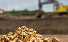 Tin nóng từ công ty đào vàng vừa lãi kỷ lục hai năm liên tiếp