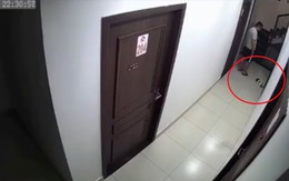 Lời giải thích của nam thanh niên đá chết chú chó rồi bỏ vào thùng rác ở Hải Phòng