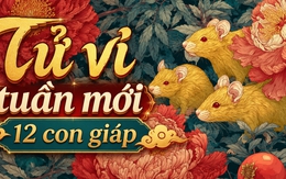 Tử vi tuần mới (29/6-5/7): Top 3 con giáp hưởng lộc lá nhiều nhất, công việc lên hương, tình cảm cũng ngọt ngào