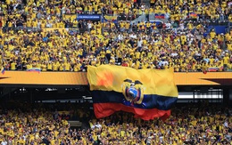 Ecuador lập kỳ tích hạ gục Đức, Tổng thống cho cả nước nghỉ lễ ăn mừng
