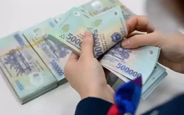 Từ ngày 1/7, viên chức được trực tiếp điều hành doanh nghiệp