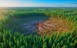 118 năm thảm họa Tunguska: Thiên thạch rơi hay cú nổ từ lòng đất?
