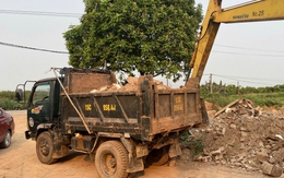 Ra quyết định khởi tố Trần Văn Hán SN 1984