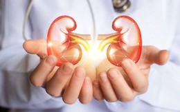Người có hai quả thận khỏe thường có 8 thói quen này: Làm đủ thì xin chúc mừng!