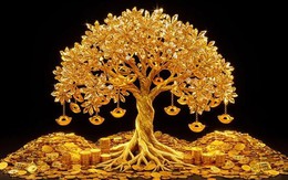 Những lần đổi tên mang đậm chất phong thủy của các ngân hàng Việt Nam: Điểm đặc biệt đằng sau từ khoá “Thịnh Vượng”, “Lộc Phát”, “Tài Lộc”