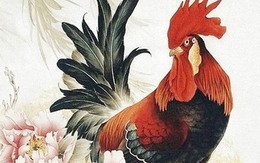Từ 5.6 đến 13.6: 3 con giáp đón vận tài chính khởi sắc, 1 con giáp dễ có lộc bất ngờ nhờ quý nhân