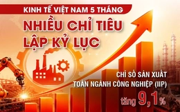 Kinh tế Việt Nam 5 tháng: Nhiều chỉ tiêu lập kỷ lục