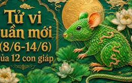 Lời khuyên cho 12 con giáp trong tuần mới (8/6-14/6)