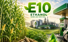 Phủ sóng xăng E10: Cơ hội biến cây sắn, ngô, mía thành 'mỏ vàng' của nền kinh tế xanh