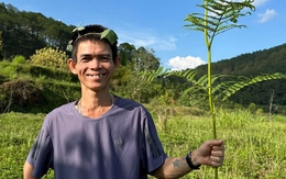 Giờ mới biết “anh chăn bò” Sô Y Tiết từng được ghi danh tại Latin Grammy: Hiện tại đang đối mặt biến cố sức khỏe