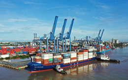 Lộ diện những người nhận cổ tức tiền mặt cao nhất vài ngày nữa: Không phải bất động sản hay tài chính