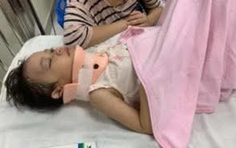 Tình trạng sức khỏe của bé gái bị bạn "được cho là trẻ tự kỷ" đẩy ngã từ cầu trượt cao 1,5m