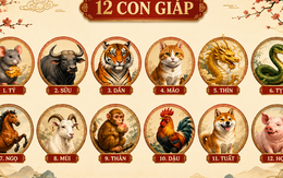 12 con giáp: Ai có khả năng giàu nhất sau tuổi 45?