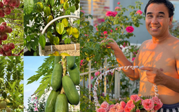 Đại gia Sài thành khoe khu vườn đẹp như resort riêng: Hóa ra đây chính là "xa xỉ phẩm" của người giàu