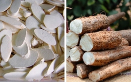Tác dụng của củ hoài sơn tươi với sức khỏe