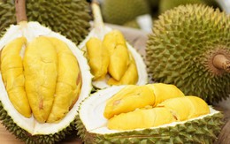 Sầu riêng thuộc nhóm trái cây nhiều đường nhưng chuyên gia lại khuyên một số người nên ăn: Hoá ra là vì điều này!