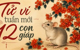 Lời khuyên cho 12 con giáp trong tuần mới (13/7-19/7)