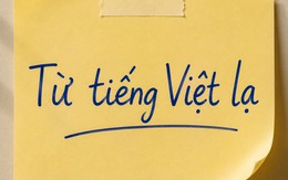 Một từ tiếng Việt chỉ 2 âm tiết nhưng khiến không ít người Việt phải tra Google mới hiểu nghĩa