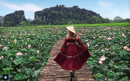 Tỉnh duy nhất ở Việt Nam sở hữu quần thể danh thắng "Hạ Long trên cạn", là di sản hỗn hợp UNESCO duy nhất cả nước: nửa đầu năm 2026 đã hút 17,6 triệu lượt khách, doanh thu 18.000 tỷ đồng