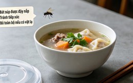 Con ruồi rơi vào bát canh: Chỉ là một con ruồi thôi, vớt ra rồi đun sôi lại là vẫn ăn được bình thường?