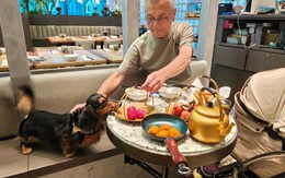 Khách cho chó cùng ăn trên đĩa nhà hàng cao cấp gây làn sóng sợ hãi ở Hong Kong
