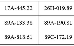 Công an đề nghị 358 chủ phương tiện vi phạm mang biển số sau nhanh chóng nộp phạt nguội theo Nghị định 168