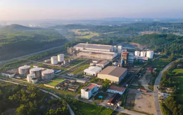 Bán xăng E10: Cơ hội hồi sinh các nhà máy ethanol 'đắp chiếu'