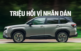 Hơn nửa triệu xe Subaru buộc triệu hồi vì một miếng nhãn dán