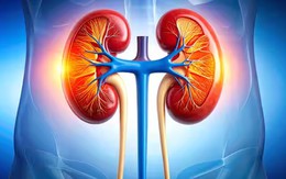 Bác sĩ chỉ ra những sai lầm hàng ngày có thể âm thầm hại thận: Điều đầu tiên rất phổ biến