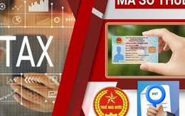 Cục Thuế phát cảnh báo nóng: Cho mượn CCCD để lập doanh nghiệp, bỏ địa chỉ kinh doanh, chưa giải thể đúng quy định sẽ bị rà soát