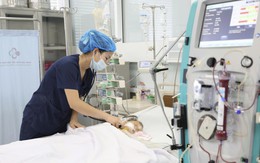 Bé trai 15 tháng tuổi nguy kịch sau khi bị ong vò vẽ đốt 60 nốt