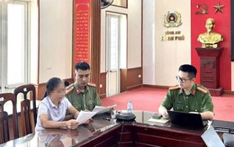 Bình luận xúc phạm lãnh đạo TP Hải Phòng, một phụ nữ bị phạt 12,5 triệu đồng