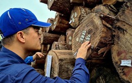 Mặt hàng 17,2 tỷ USD của Việt Nam: Trung Quốc vượt Nhật Bản, vươn lên vị trí khách hàng số 2