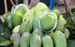 Bộ Công Thương sẽ thúc đẩy đối thoại với Hoa Kỳ sau kết luận thuế Mục 301