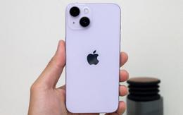 Chiếc iPhone mới nhất bị "khai tử" tại Việt Nam