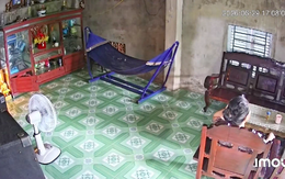 Clip bà ngồi thẫn thờ khi 'khối nghỉ hè' rời quê về phố khiến dân mạng rưng rưng
