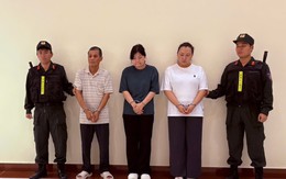 'Hô biến' hàng từ Trung Quốc thành hàng Canada để trúng 30 gói thầu ngành điện