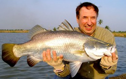 Loại cá nhiều Omega-3 không kém cá hồi đưa Việt Nam chinh phục những hệ thống siêu thị lớn của Mỹ, Đức