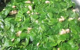 3 loại rau giàu protein bậc nhất