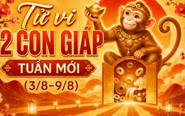 Tử vi tuần mới (3/8-9/8): Xếp hạng 3 con giáp may mắn nhất, công việc lẫn tài lộc đều lên hương