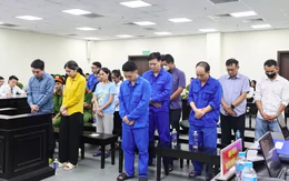 Nhận hối lộ của trùm thực phẩm giả, hai cựu cán bộ hải quan bị tuyên phạt 13 năm tù