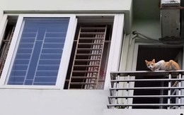 Tôi chỉ sang nhà hàng xóm xin nước mắm, không ngờ lại biết bí mật mẹ chồng giấu cả gia đình nhiều năm