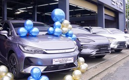 Hãng xe điện bán chạy nhất thế giới đổ bộ "đảo ngọc" Việt Nam, đánh trúng "long mạch" du lịch xanh