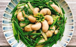 Loại rau dân dã mọc đầy Việt Nam, cổ thư Trung Quốc ví là “thượng phẩm”: Hóa ra là vị thuốc toàn năng