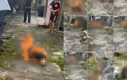 4 đứa trẻ dưới 14 tuổi gây phẫn nộ vì hành vi ngược đãi động vật, chuyên gia lên tiếng cảnh báo