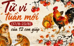 Tử vi tuần mới (17/8 - 23/8): Top 4 con giáp có quý nhân vượng nhất, càng chủ động càng gặp nhiều cơ hội