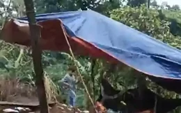 Nam giáo viên khai quá trình sát hại, phi tang thi thể nữ nhân viên thư viện cùng trường