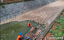 Vừa dọn sạch 5 tấn cá chết, con sông lại liên tiếp xuất hiện cảnh tượng khiến người dân hoảng hốt