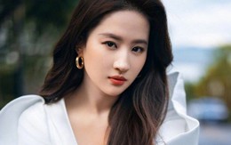 Người cướp chén cơm của Lưu Diệc Phi, Triệu Lệ Dĩnh