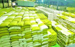 Gạo Việt Nam, Thái Lan bất ngờ bị một đối thủ mới vượt mặt tại Philippines, mới xuất hiện đã được trả giá cao kỷ lục
